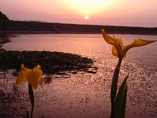 f0231709_19561976.jpg