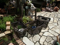 c0190010_2038233.jpg