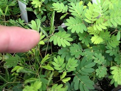 c0190010_20581440.jpg