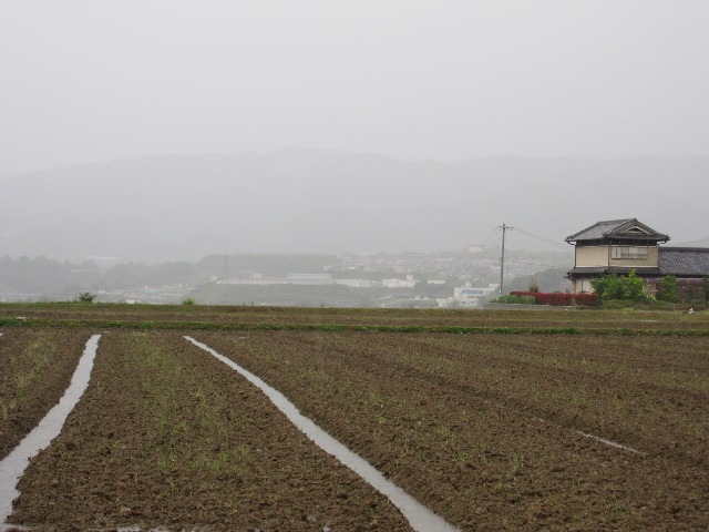 d0081210_9382121.jpg