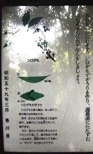 f0213825_95510.jpg
