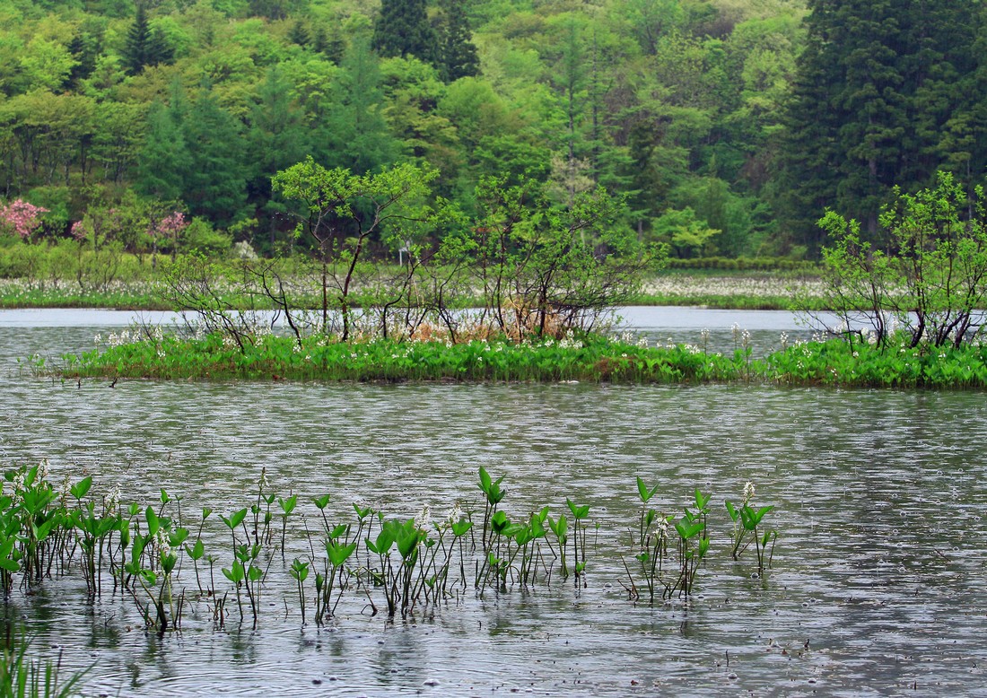 c0104227_6182752.jpg