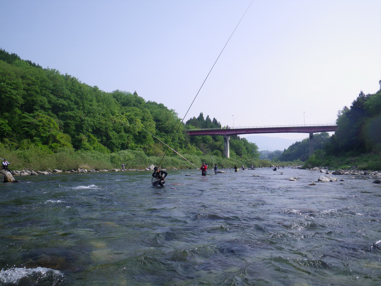 d0172227_015172.jpg