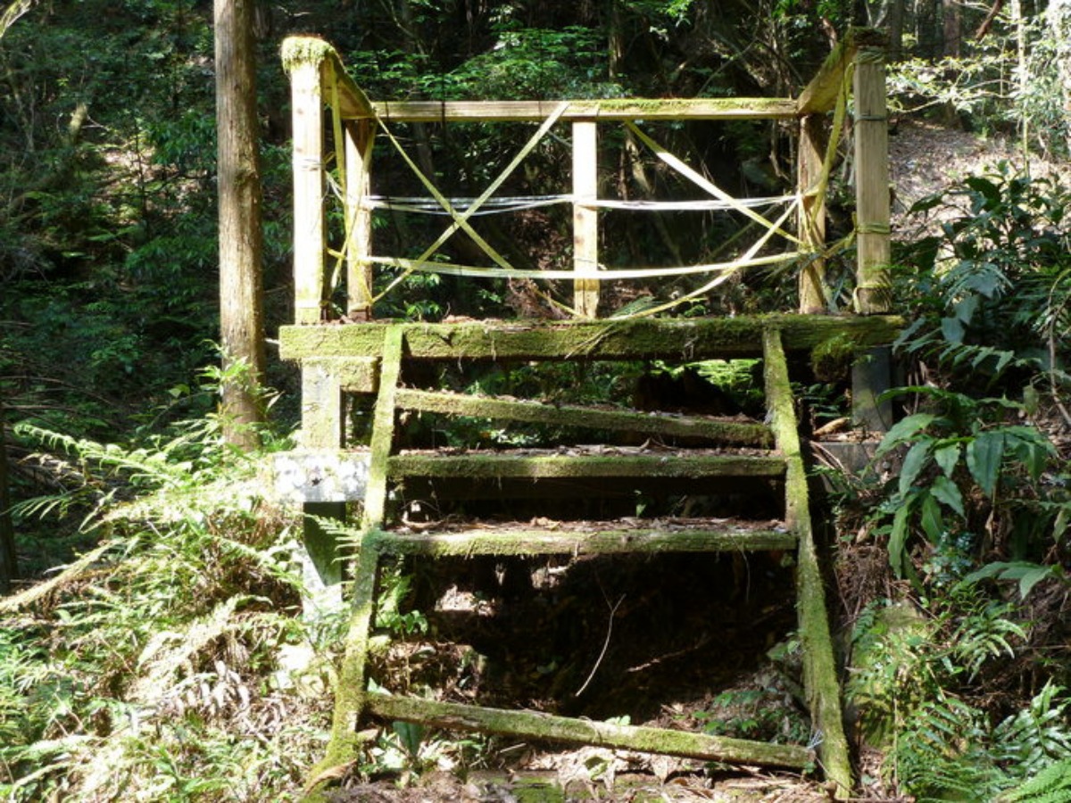 e0033229_20333213.jpg