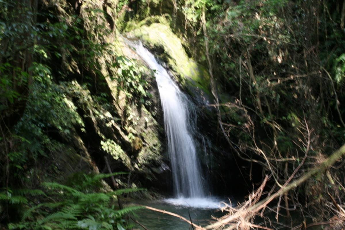 e0033229_20433679.jpg
