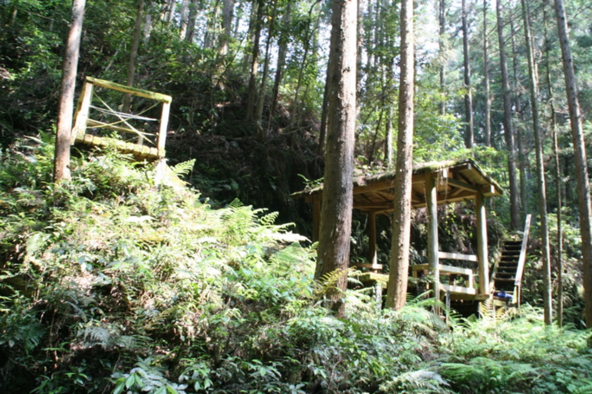 e0033229_20502798.jpg