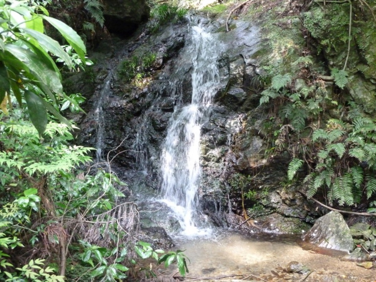 e0033229_2082989.jpg