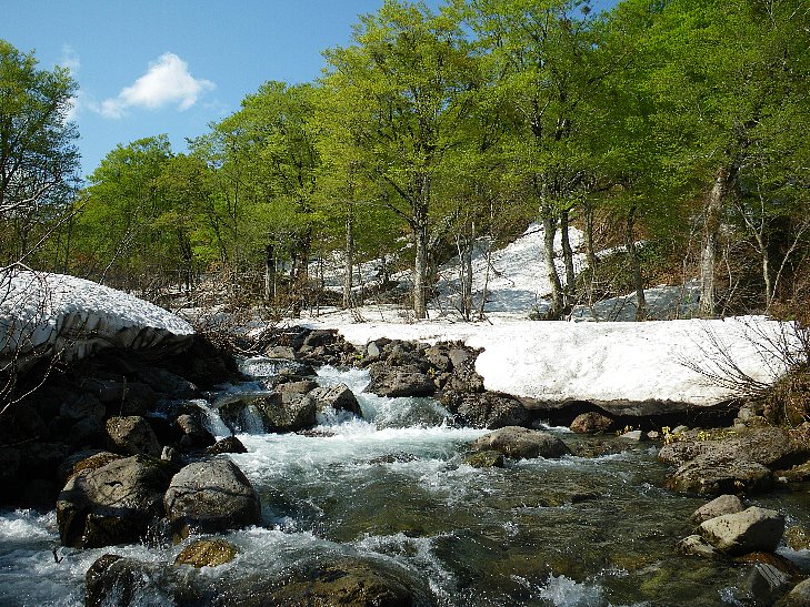 f0118332_23411959.jpg