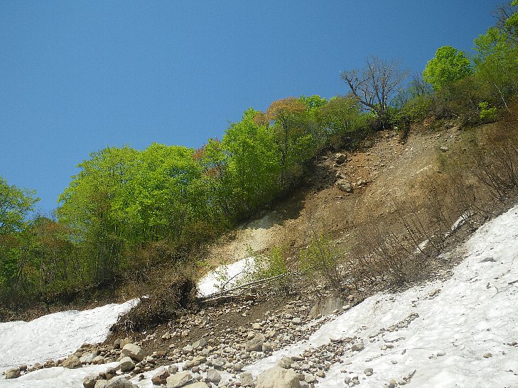 f0118332_23452076.jpg