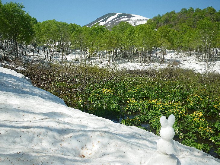 f0118332_23494724.jpg