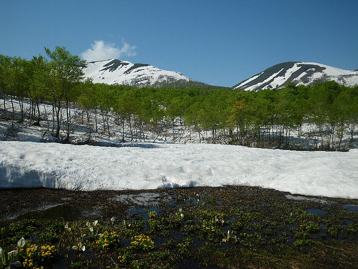 f0118332_23505773.jpg