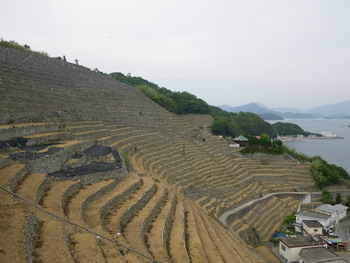 c0183137_213921.jpg