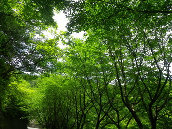 c0183137_216466.jpg
