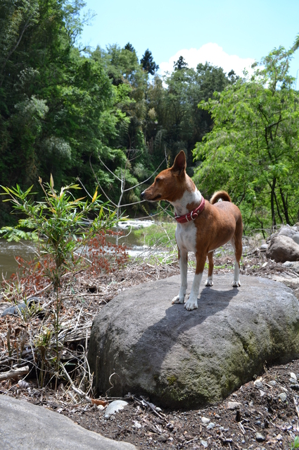 e0228938_20114983.jpg