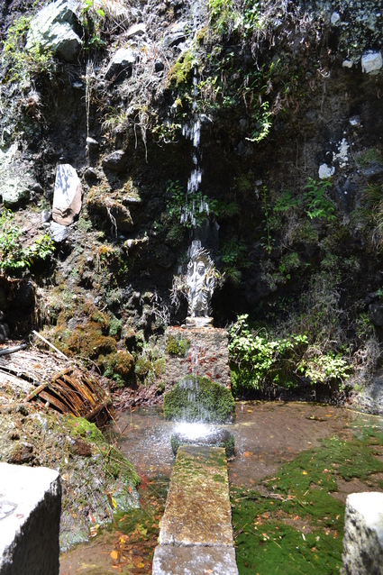 e0228938_209837.jpg