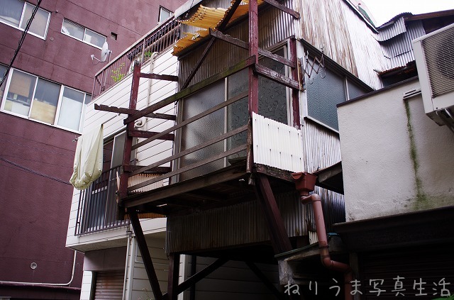 a0009142_22315540.jpg