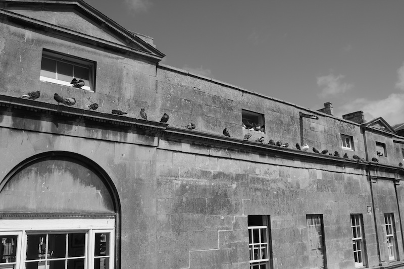 a0169844_5252182.jpg