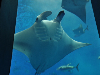 a0070552_15412692.jpg