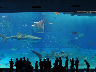 a0070552_15425710.jpg