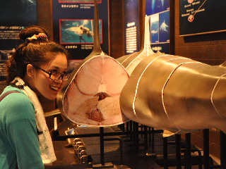 a0070552_16164495.jpg