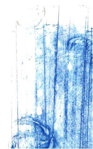 c0138553_9175346.jpg