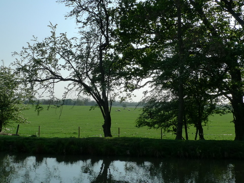 a0113956_22494759.jpg