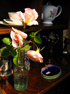 a0021558_143843100.jpg