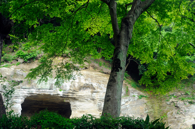 f0176458_0141341.jpg
