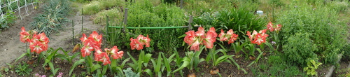 c0108460_18502971.jpg