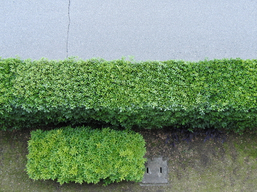 a0140863_21482490.jpg