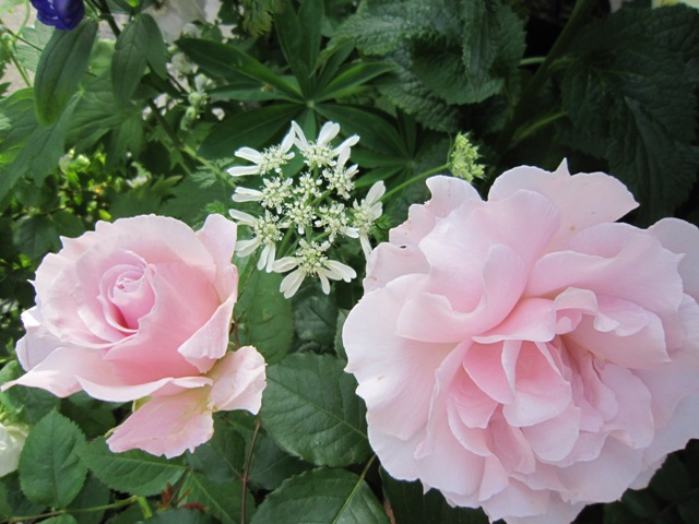 c0202870_8152096.jpg