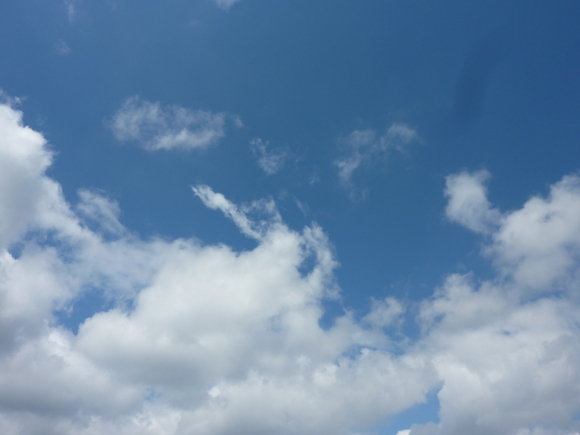 e0207477_1651287.jpg