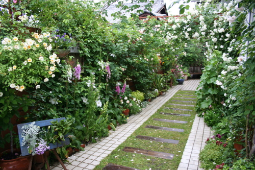 e0154682_0133525.jpg