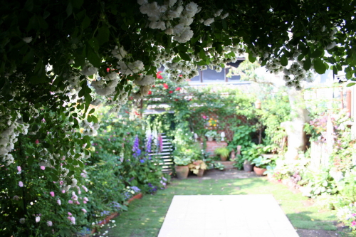 e0154682_22592583.jpg