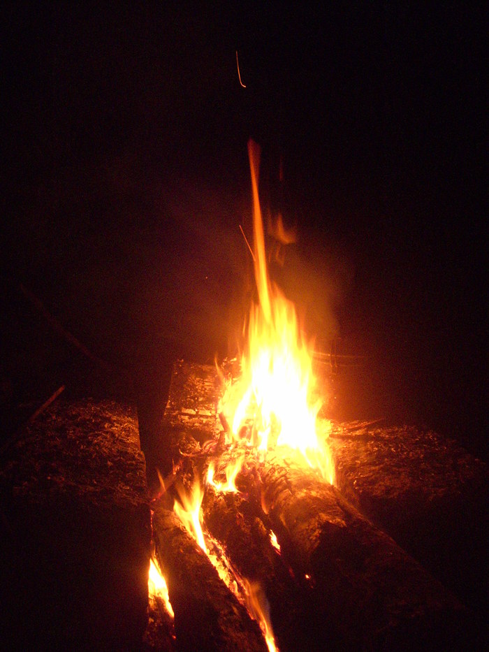 e0185092_2042493.jpg