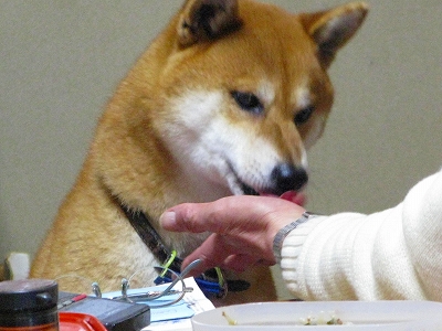 f0181394_15594828.jpg