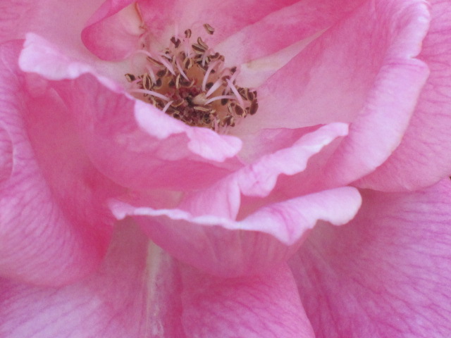 e0181901_10523198.jpg