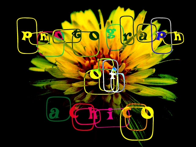 a0157704_1594056.jpg