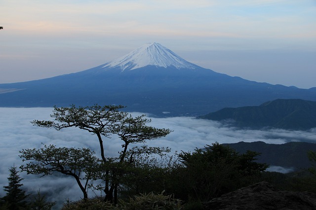 a0188405_17522462.jpg