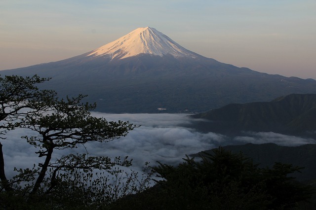 a0188405_17534980.jpg