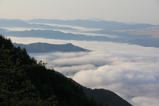 a0188405_17543667.jpg