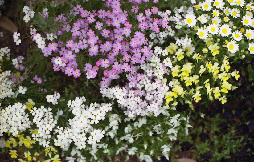 d0071507_22281145.jpg