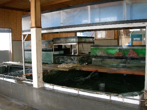 c0149408_10133490.jpg