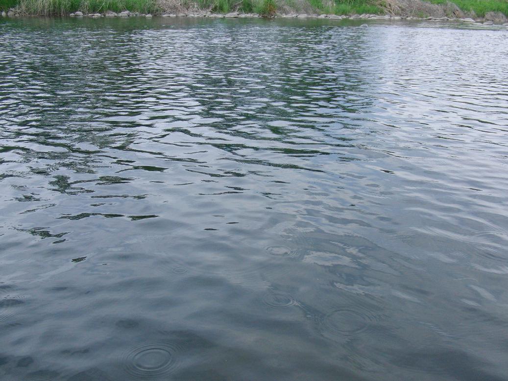d0126708_732050.jpg