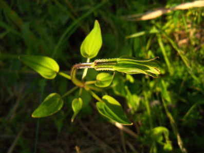 e0015915_20482121.jpg