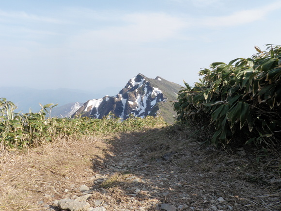 c0210618_8264476.jpg