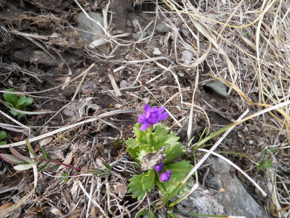 c0210618_83672.jpg