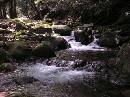 d0168318_1721637.jpg