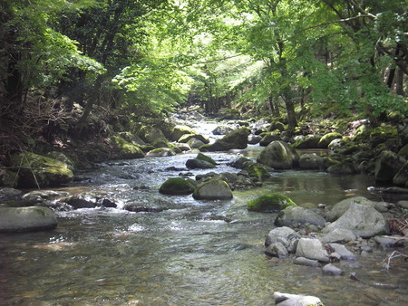 d0168318_179819.jpg