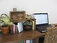 e0195721_873240.jpg
